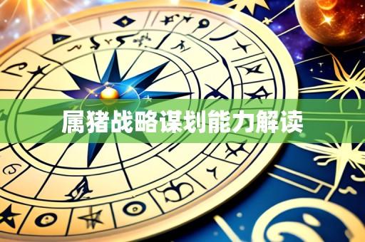 属猪战略谋划能力解读