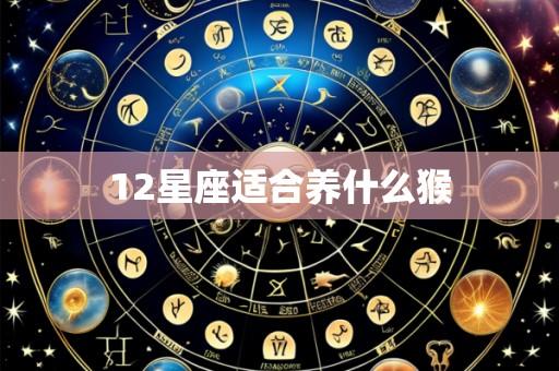 12星座适合养什么猴