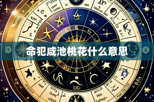 命犯咸池桃花什么意思