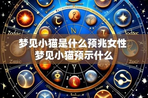 梦见小猫是什么预兆女性 梦见小猫预示什么
