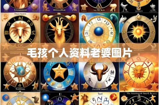 毛孩个人资料老婆图片