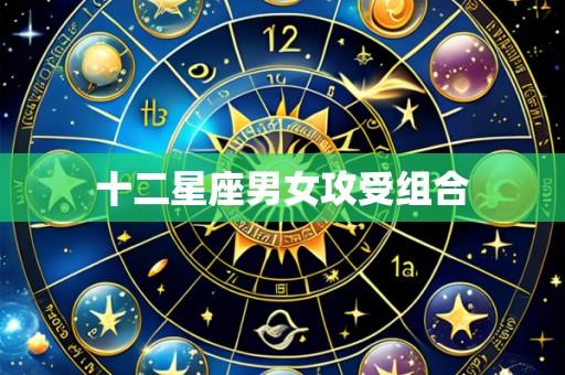 十二星座男女攻受组合