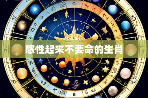 感性起来不要命的生肖