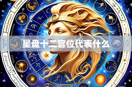 星盘十二宫位代表什么