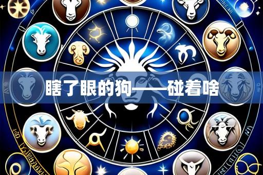 瞎了眼的狗——碰着啥