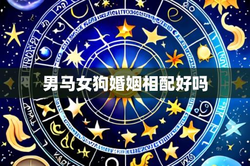 男马女狗婚姻相配好吗