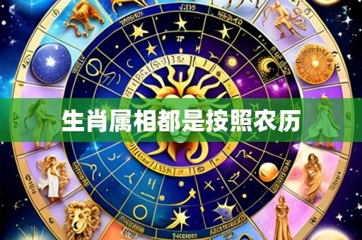 生肖属相都是按照农历