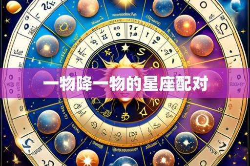 一物降一物的星座配对