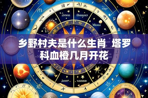 乡野村夫是什么生肖 塔罗科血橙几月开花