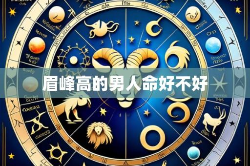 眉峰高的男人命好不好