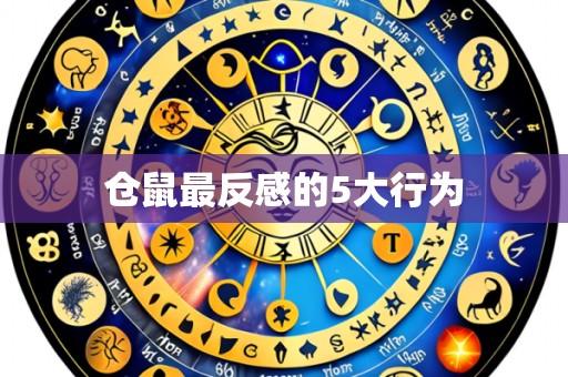仓鼠最反感的5大行为