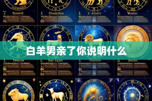白羊男亲了你说明什么
