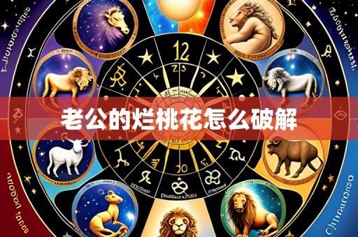 老公的烂桃花怎么破解