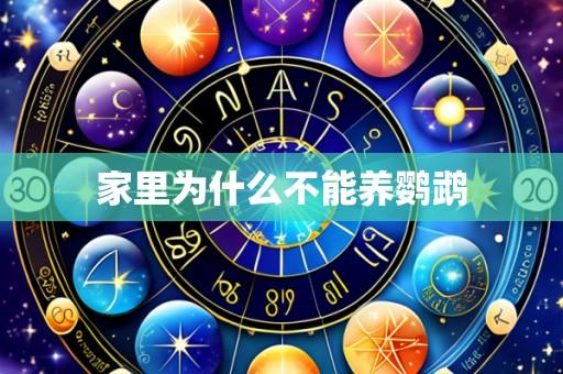 家里为什么不能养鹦鹉
