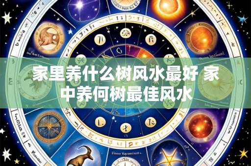 家里养什么树风水最好 家中养何树最佳风水