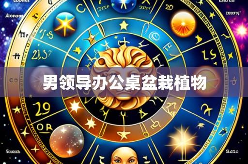 男领导办公桌盆栽植物