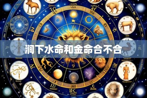 涧下水命和金命合不合