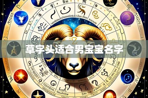 草字头适合男宝宝名字