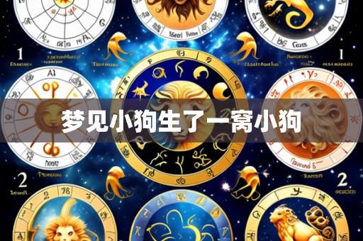 梦见小狗生了一窝小狗