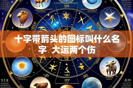 十字带箭头的图标叫什么名字 大运两个伤