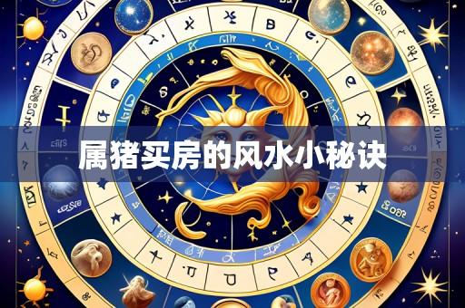 属猪买房的风水小秘诀