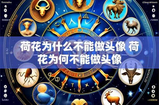 荷花为什么不能做头像 荷花为何不能做头像