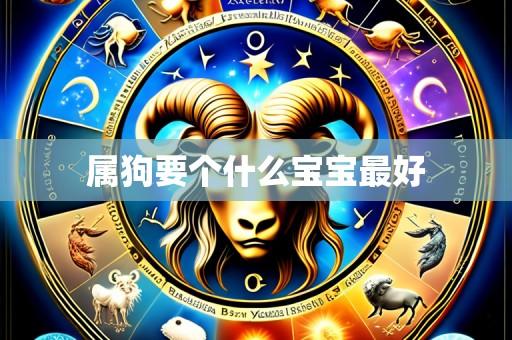 属狗要个什么宝宝最好