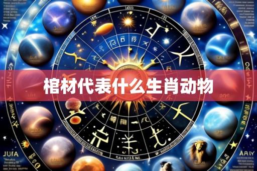 棺材代表什么生肖动物