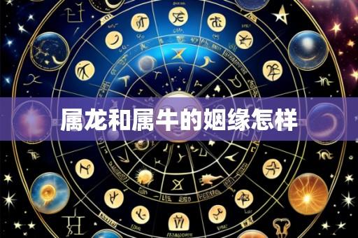 属龙和属牛的姻缘怎样