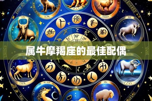 属牛摩羯座的最佳配偶