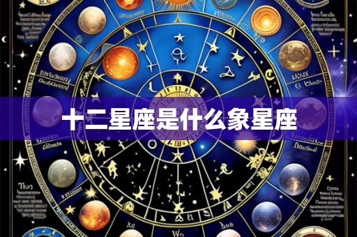 十二星座是什么象星座