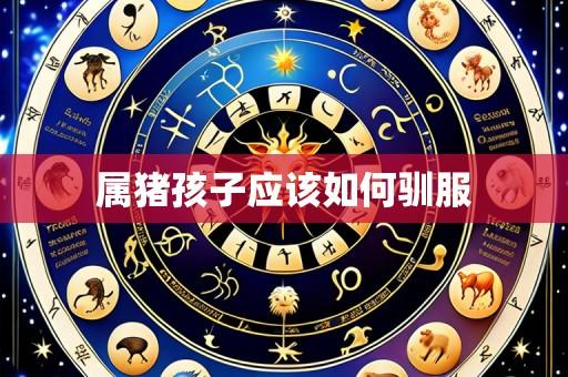 属猪孩子应该如何驯服