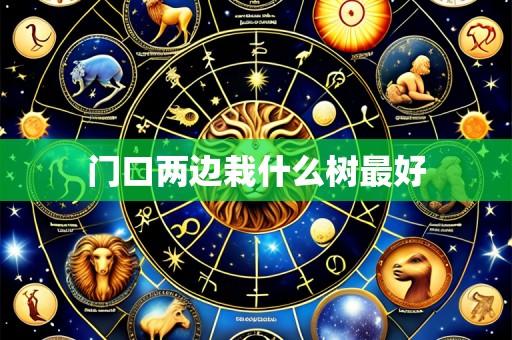 门口两边栽什么树最好