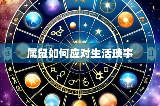 属鼠如何应对生活琐事