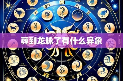 葬到龙脉了有什么异象