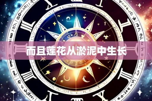 而且莲花从淤泥中生长