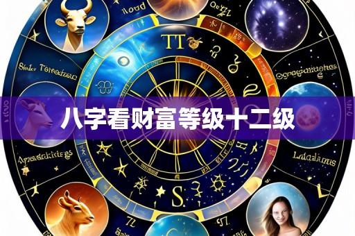 八字看财富等级十二级