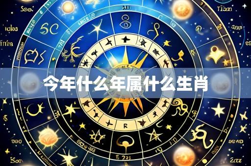 今年什么年属什么生肖