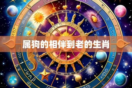 属狗的相伴到老的生肖