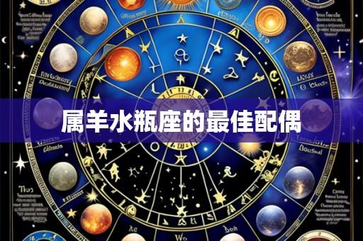 属羊水瓶座的最佳配偶