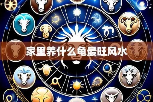 家里养什么龟最旺风水