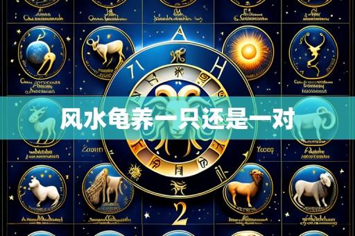 风水龟养一只还是一对