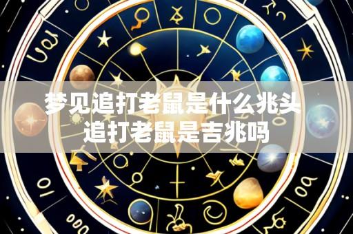 梦见追打老鼠是什么兆头 追打老鼠是吉兆吗