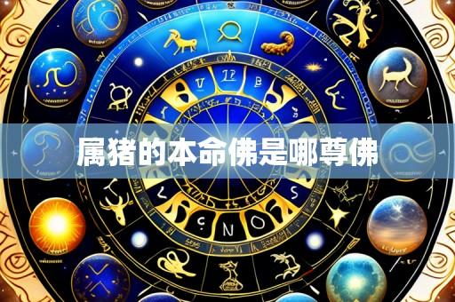 属猪的本命佛是哪尊佛