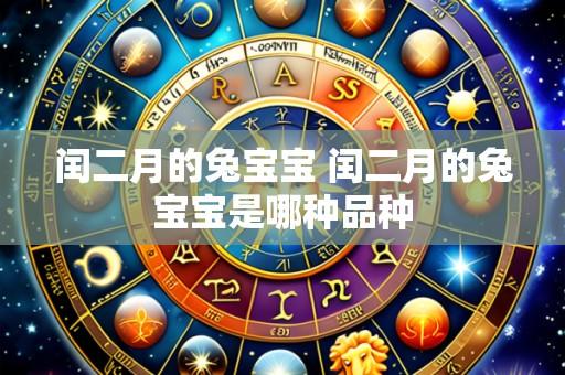 闰二月的兔宝宝 闰二月的兔宝宝是哪种品种
