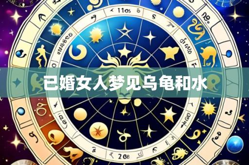 已婚女人梦见乌龟和水