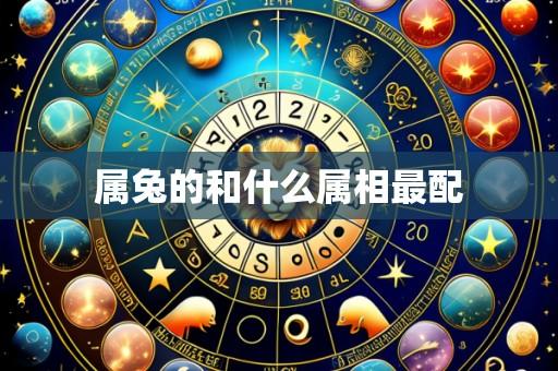属兔的和什么属相最配