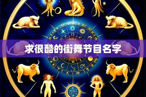 求很酷的街舞节目名字