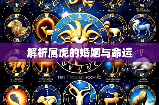 解析属虎的婚姻与命运