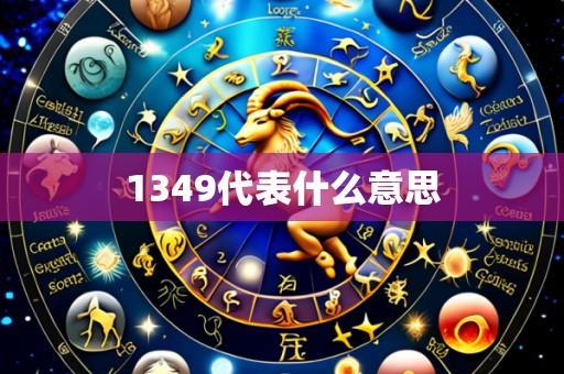 1349代表什么意思